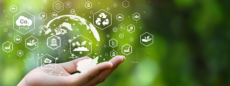 Basic Policy on Sustainability