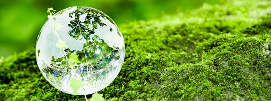 Environment (E)