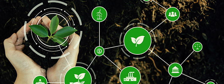 Participation in Sustainability Related Initiatives & External Evaluation