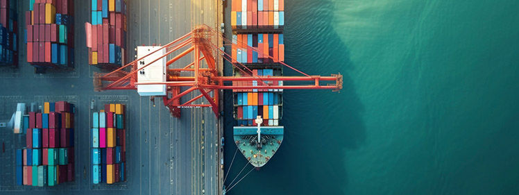 該非判定結果リスト