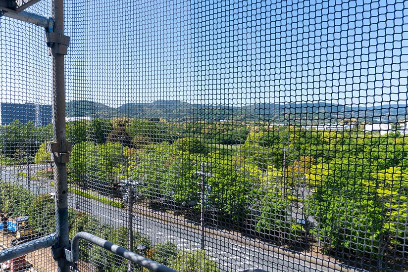 View from the rooftop