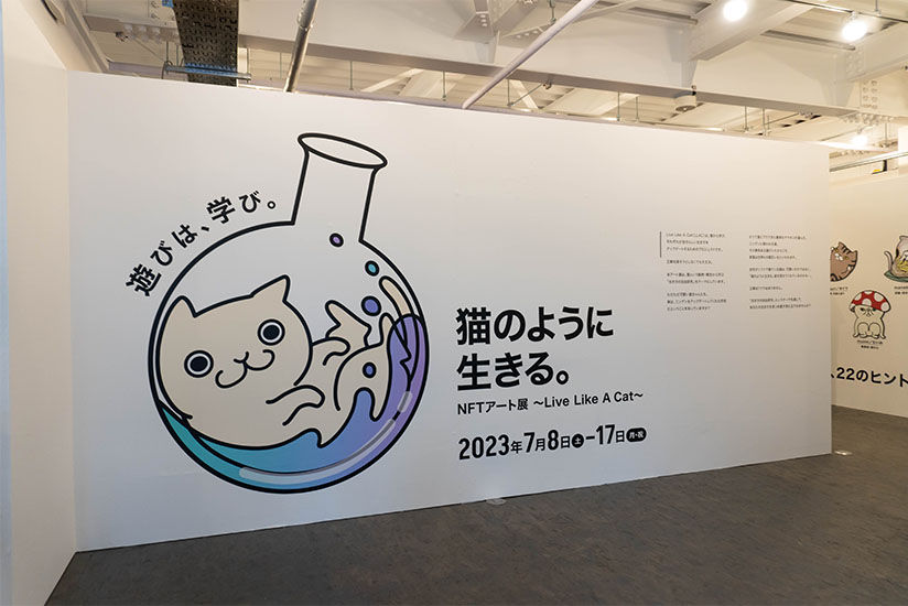 The wallpaper at the venue