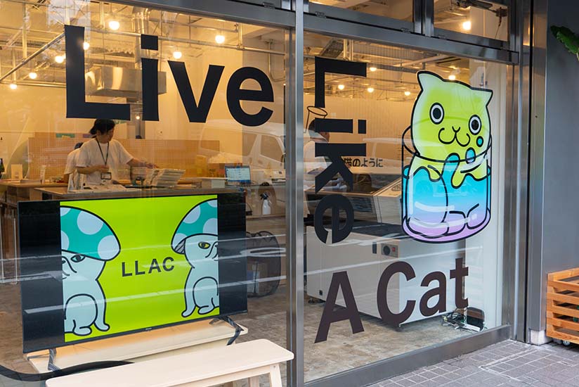 The window graphics at the venue