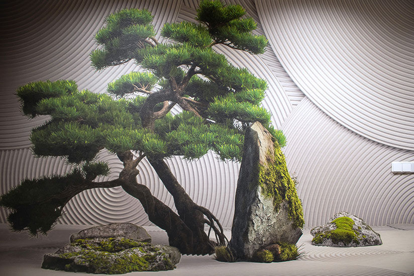Embassy wall decor