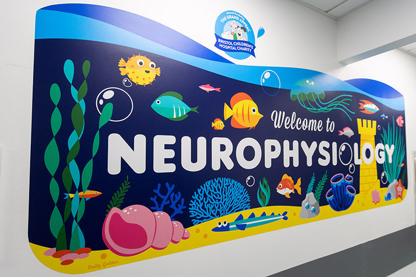 Underwater-themed wall graphics