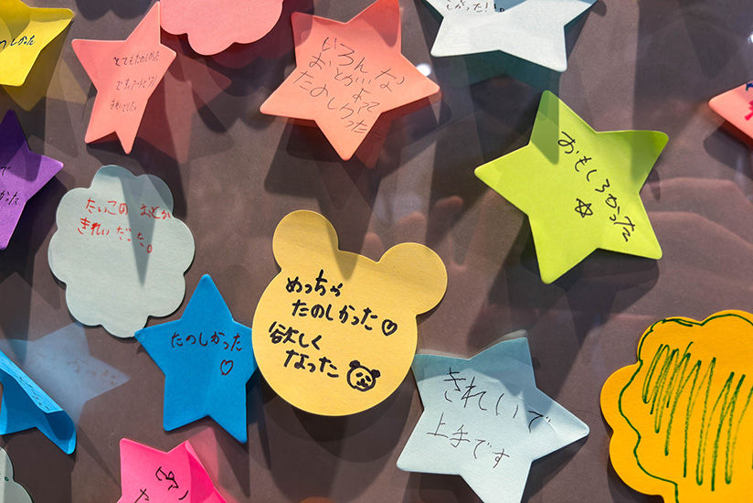 Visitors’ feedback