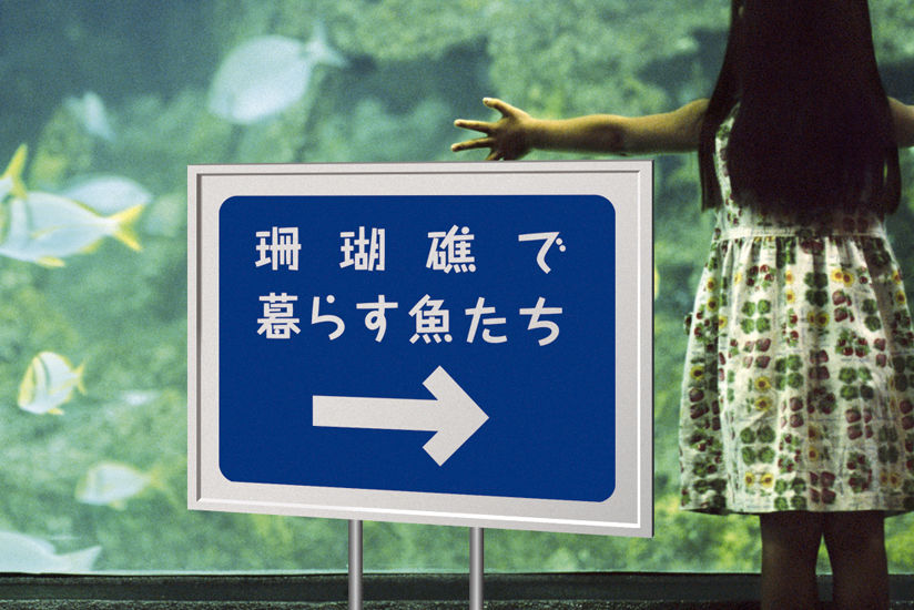 公共施設の案内標示に