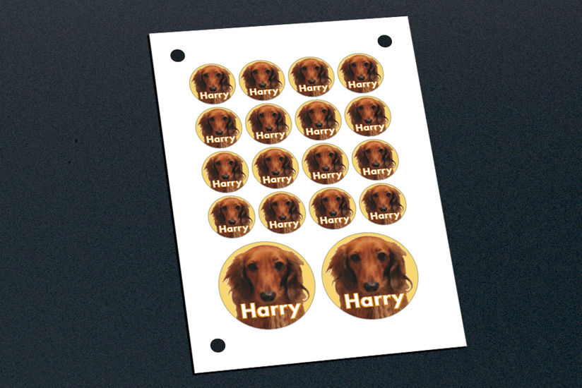 カラープリンターと連携した写真入りシール用途に