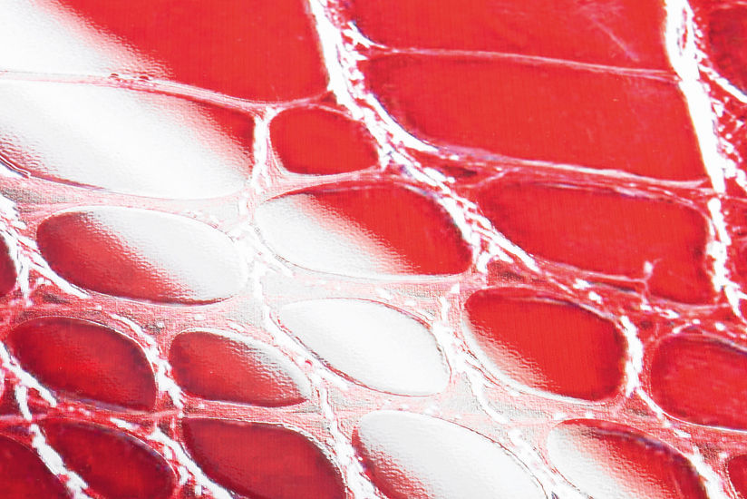 グロス（光沢）仕上げ