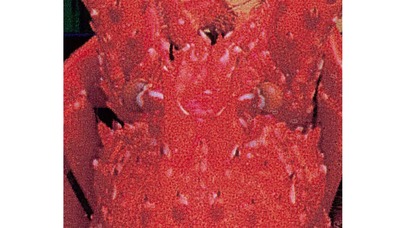 XC-540 標準モード（塩ビ）