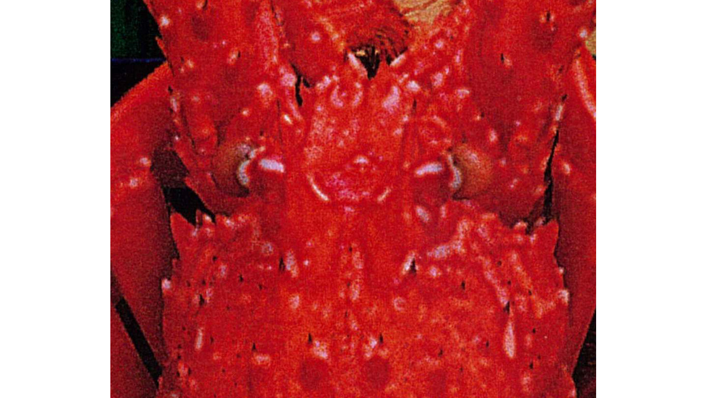 XR-640 標準モード（塩ビ）