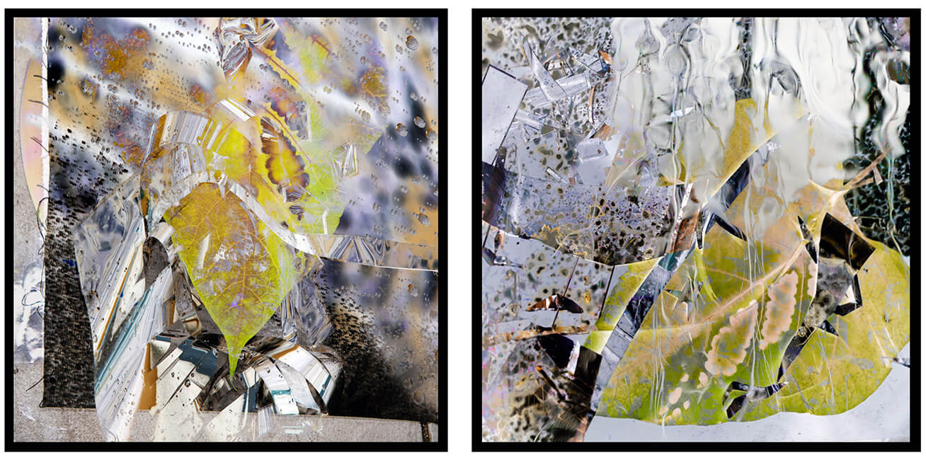 Fine Art (Digital) – Bronze Award Winner – produced by Bonny Lhotka