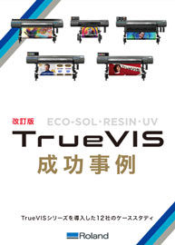 TrueVIS成功事例