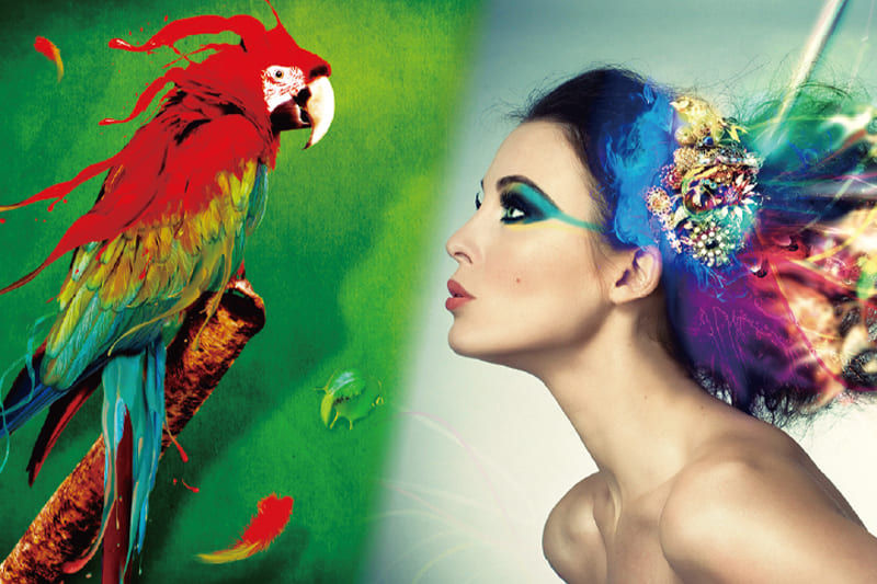 群を抜くほどの発色の鮮やかさ