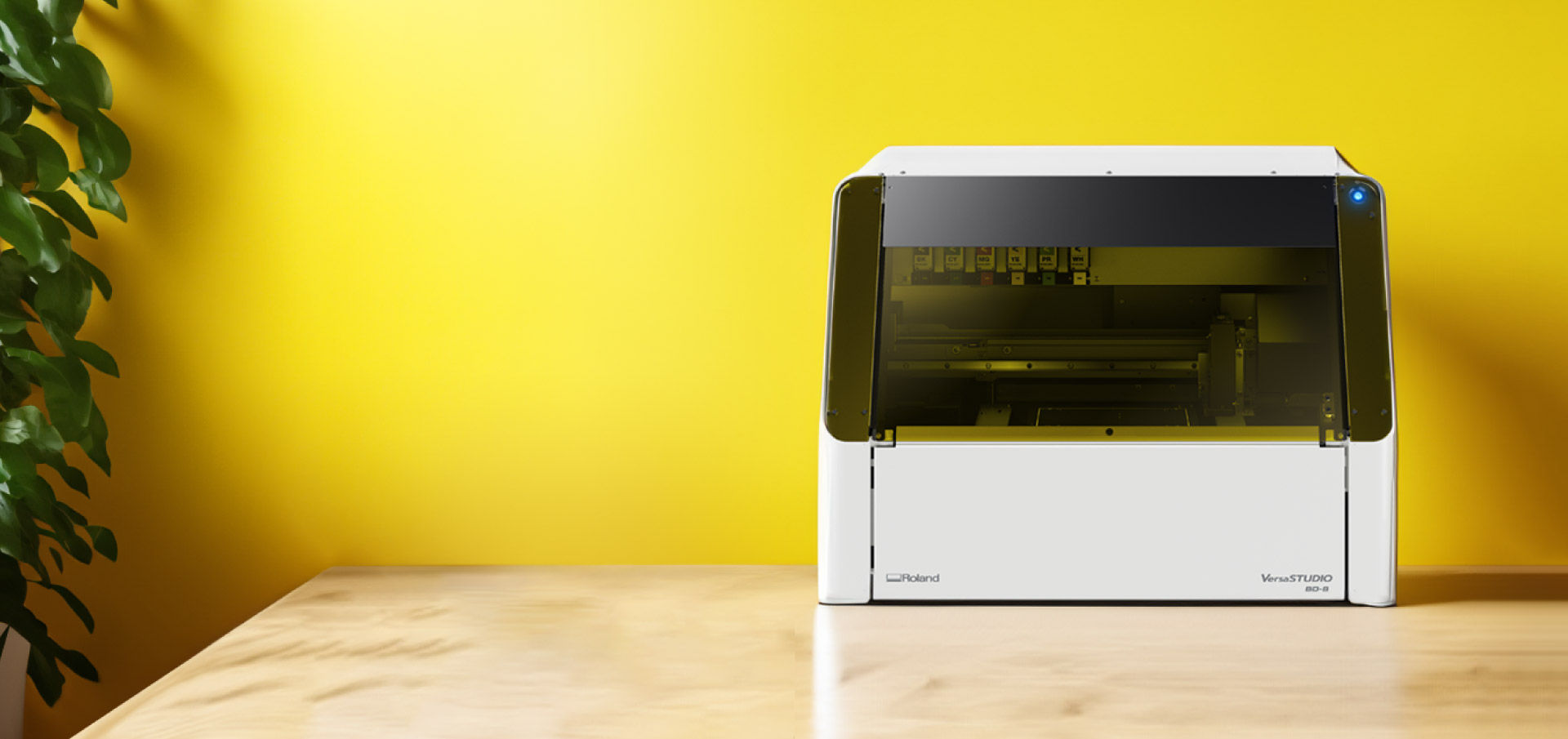 tamimoon Q キャンバス・UVプリント エディション 8 tamimoon Q キャンバス・UVプリント エディション 8