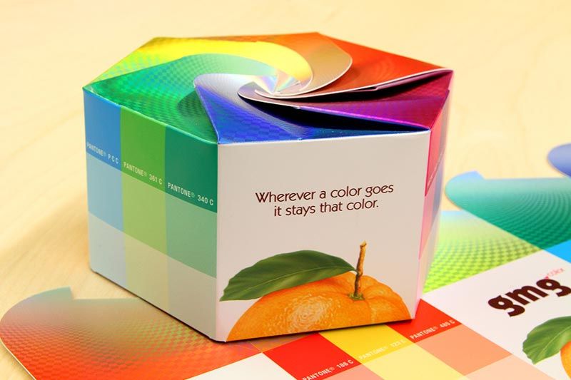 nguyên mẫu bao bì