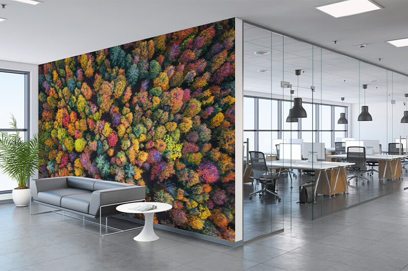 Wall graphic business interior image