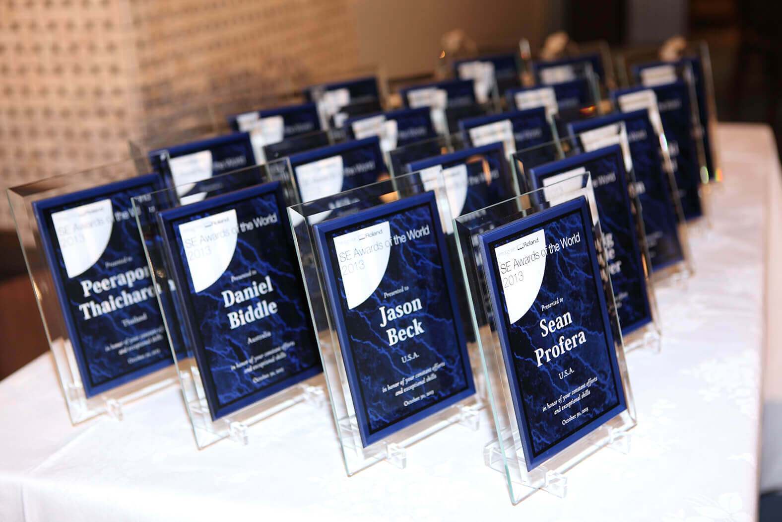 Global SE Awards 2013 (photo 23)