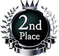 Global SE Awards 2015　2nd Place